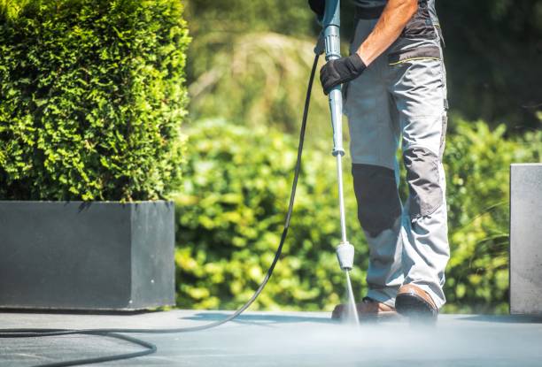 Best Sidewalk and Walkway Pressure Cleaning in Murphysboro, IL