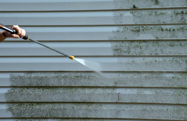 Best Roof Cleaning and Mildew Removal in Murphysboro, IL